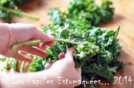 Chou vert frise kale preparation 05