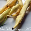 Haricots jaune logo 400