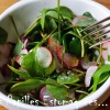 Salade Pourpier radis